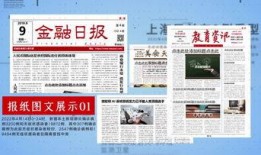 媒体爆料范文素材视频播放,范文素材视频播放背后的故事