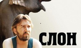 电影 大象 在线观看